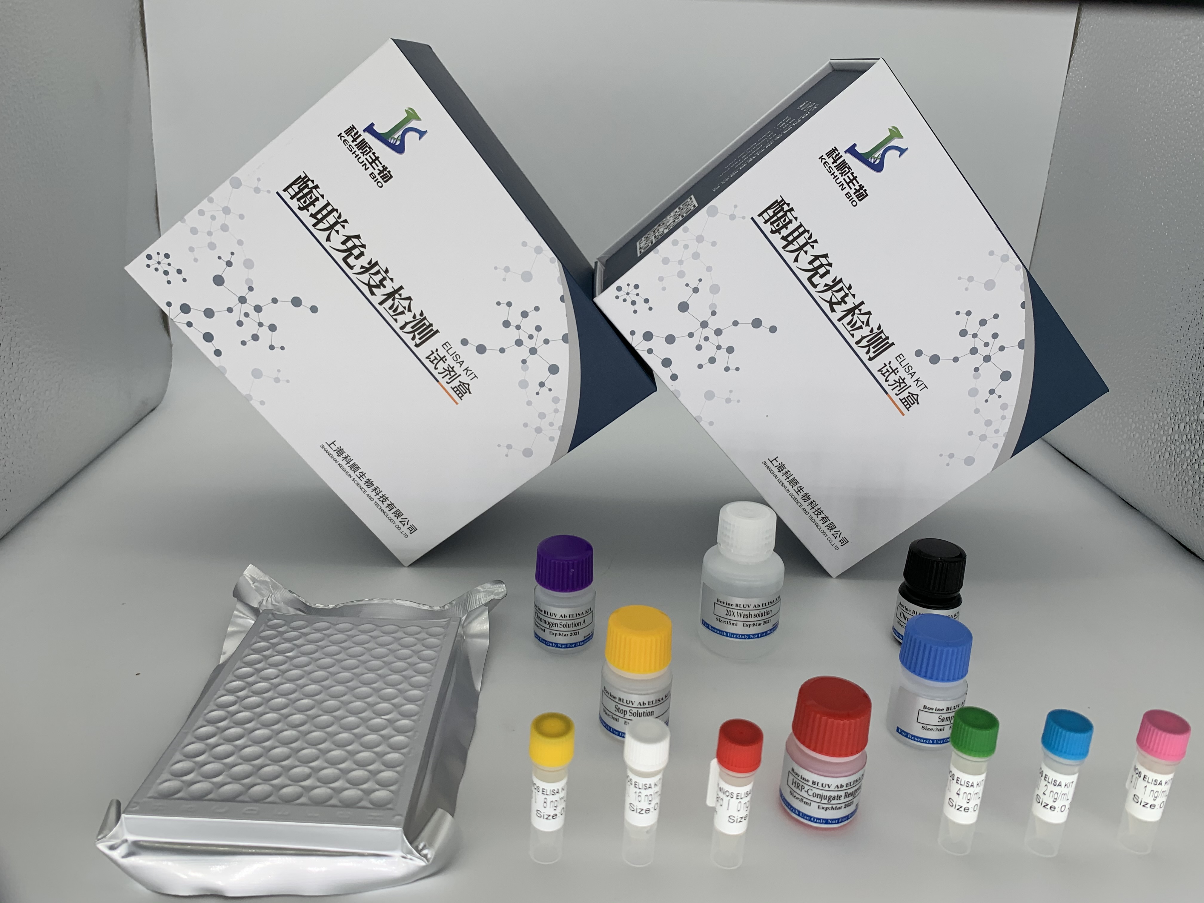 人脑微血管内皮细胞（BMEC）ELISA检测试剂盒