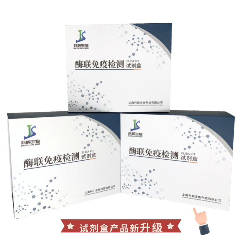 人乙型肝炎E抗原(HBe-Ag)ELISA试剂盒