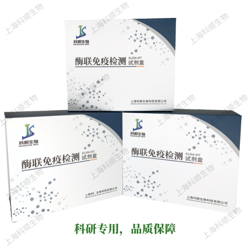 猪N端前脑钠素(NT-PROBNP)ELISA试剂盒